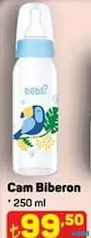 BEBSİ CAM BİBERON 250 ML
